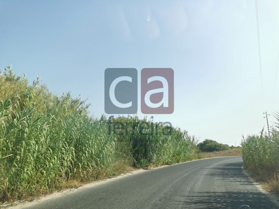 Terreno en Alpiarca, Santarem - foto 4