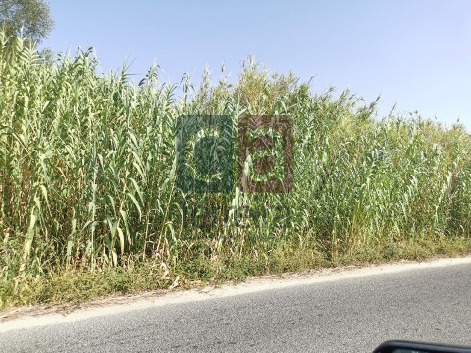 Terreno en Alpiarca, Santarem - foto 5
