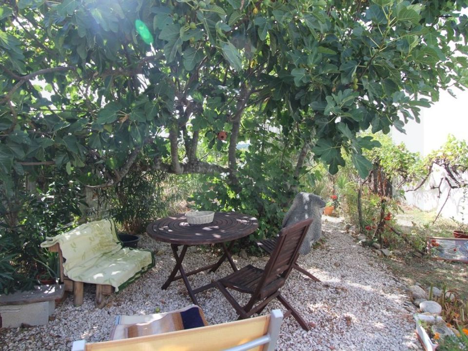 Villa i Pinheiro de Coja e Meda de Mouros, Coimbra - bilde 5