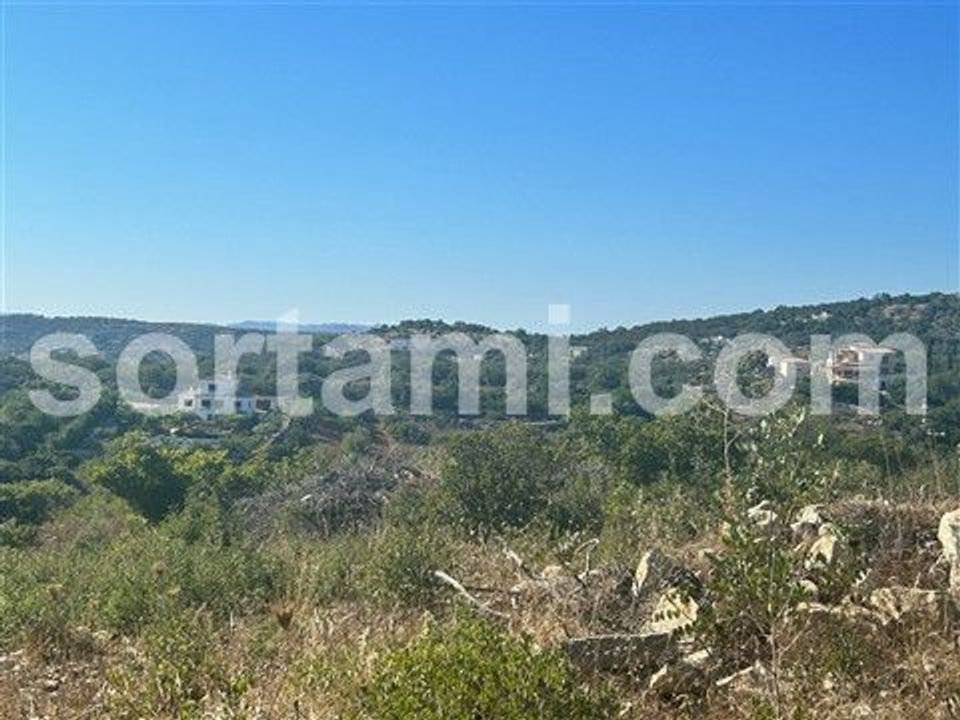 Helårsgrund i Faro, Faro - foto 3