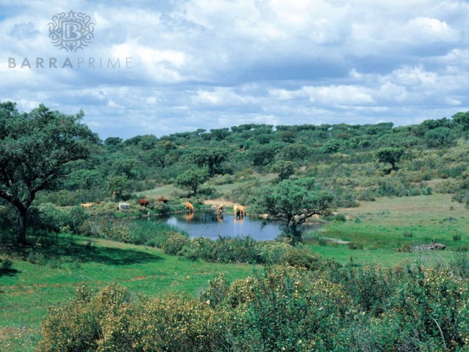 Helårsgrund i Ourique, Beja - foto 1