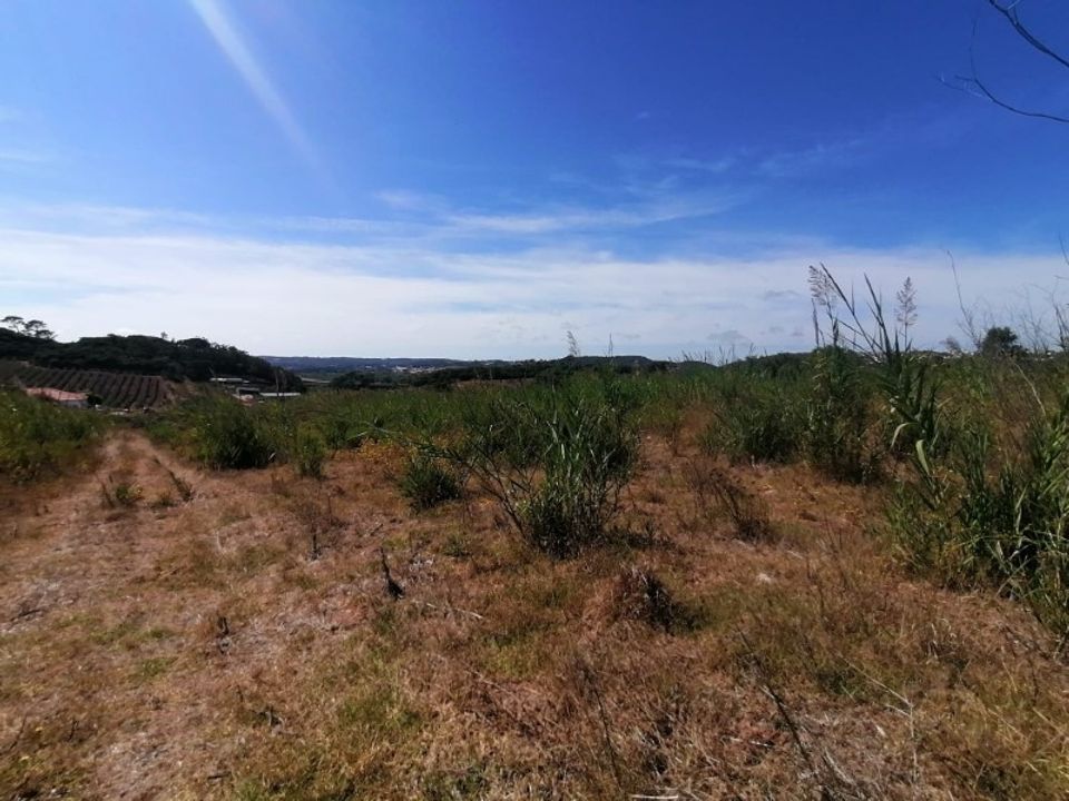 Helårsgrund i Bombarral, Leiria - foto 5