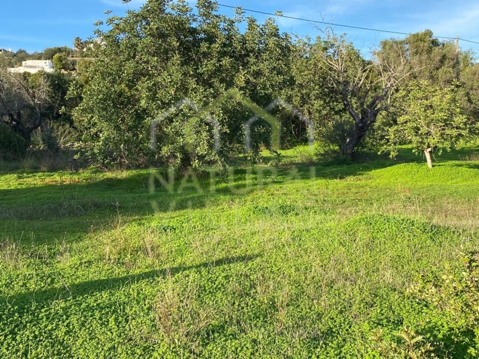 Villa i Estoi, Faro - foto 4