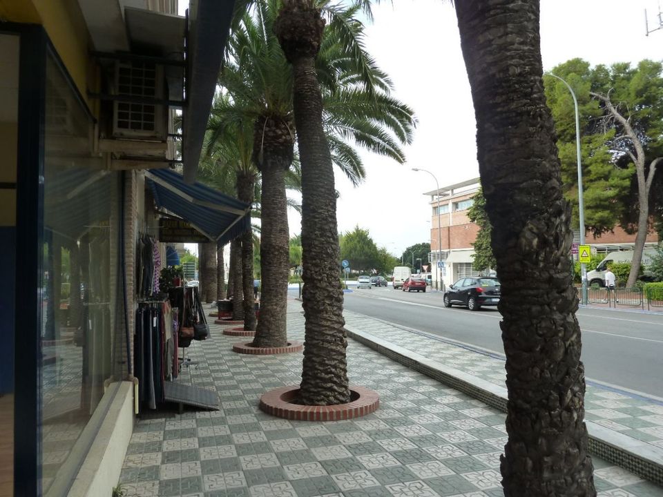 Erhvervsejendom i Nerja, Malaga - foto 3