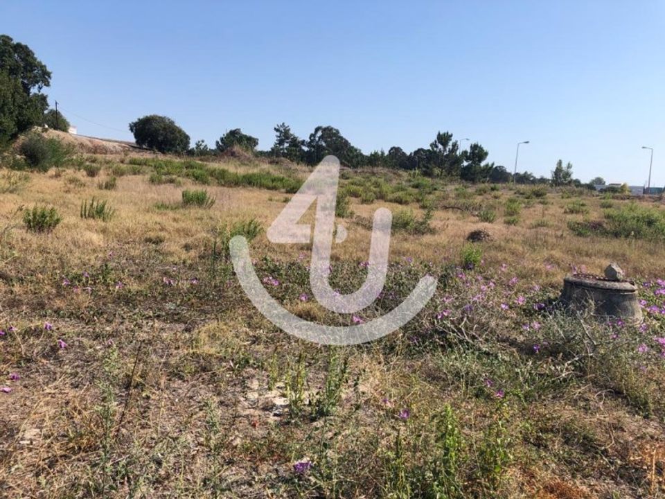 Helårsgrund i Santo Onofre e Serra do Bouro, Leiria - foto 3