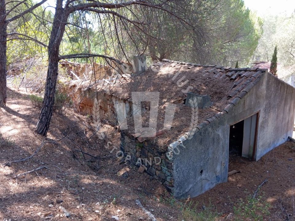 Gård i Sao Teotonio, Beja - bilde 2