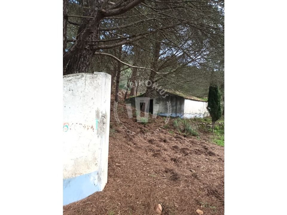 Gård i Sao Teotonio, Beja - bilde 4