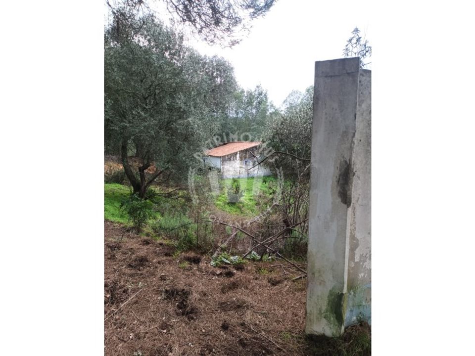 Gård i Sao Teotonio, Beja - bilde 5