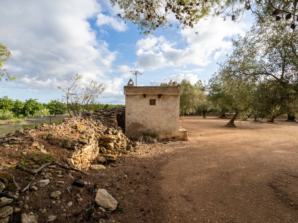 Finca i La Galera, Tarragona - foto 5