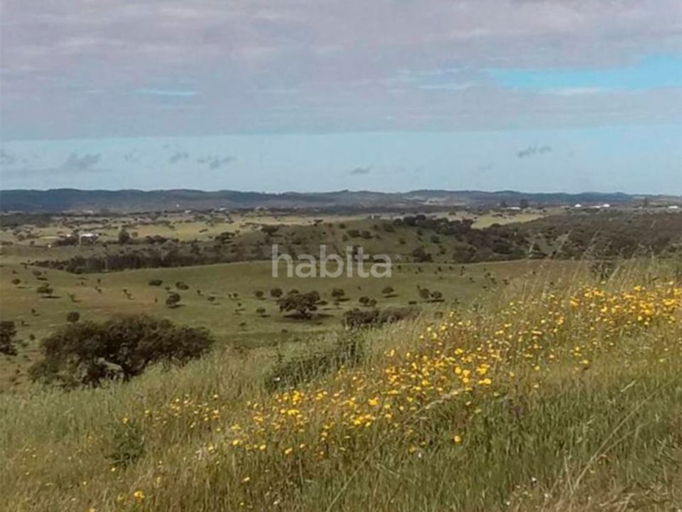 Granja a Ourique, Beja - foto 2