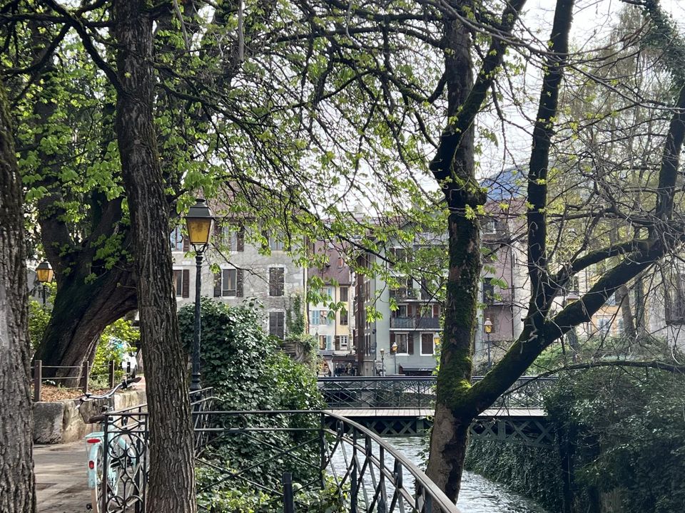 Erhvervsejendom i Annecy, Haute-Savoie - foto 1