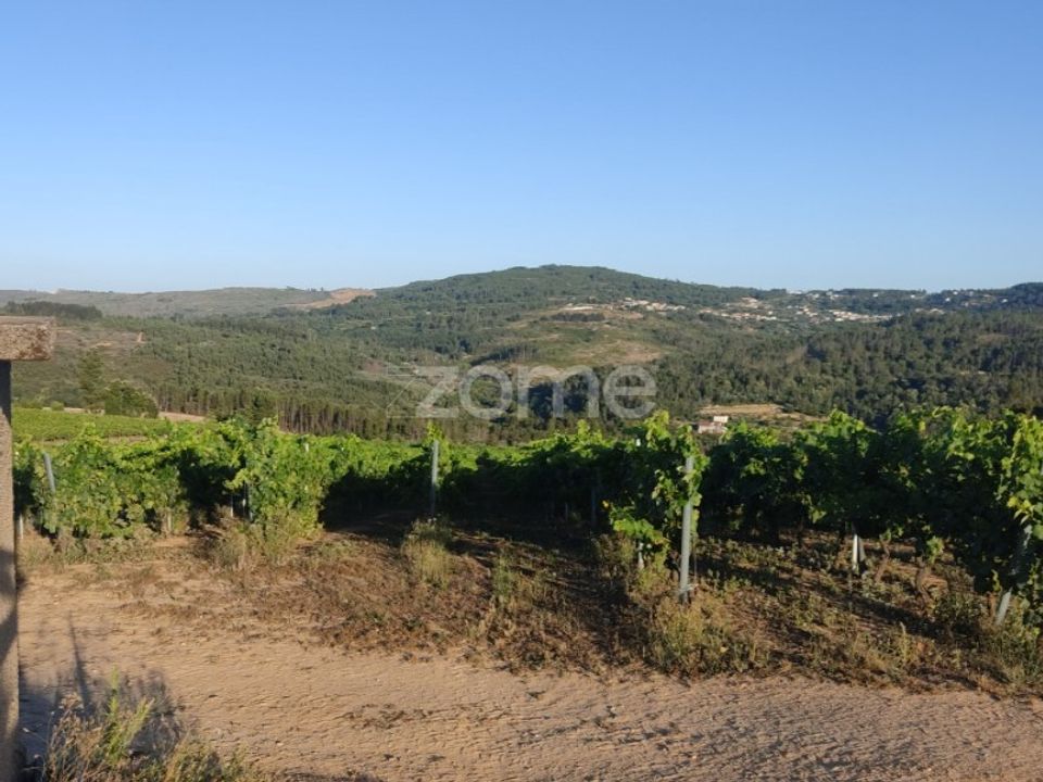 Helårsgrund i Penalva do Castelo, Viseu - foto 2
