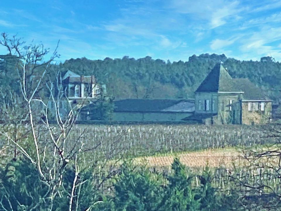 Villa a Sauternes, Gironde - foto 3