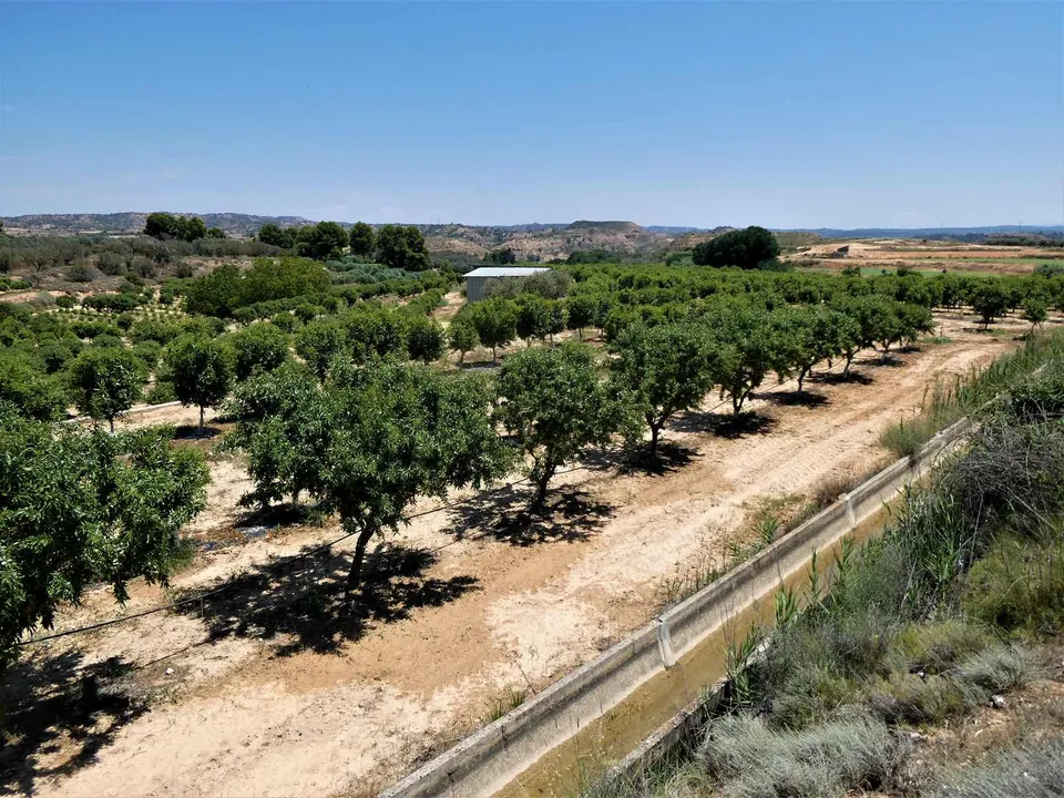 Finca i Caspe, Zaragoza - foto 3