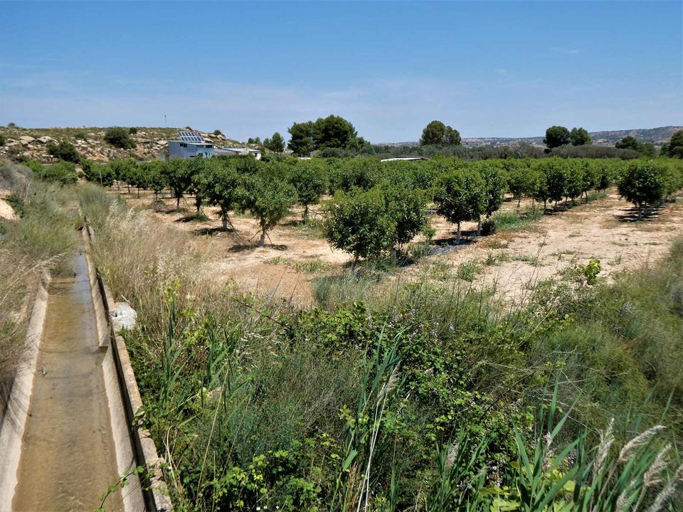 Finca i Caspe, Zaragoza - foto 2