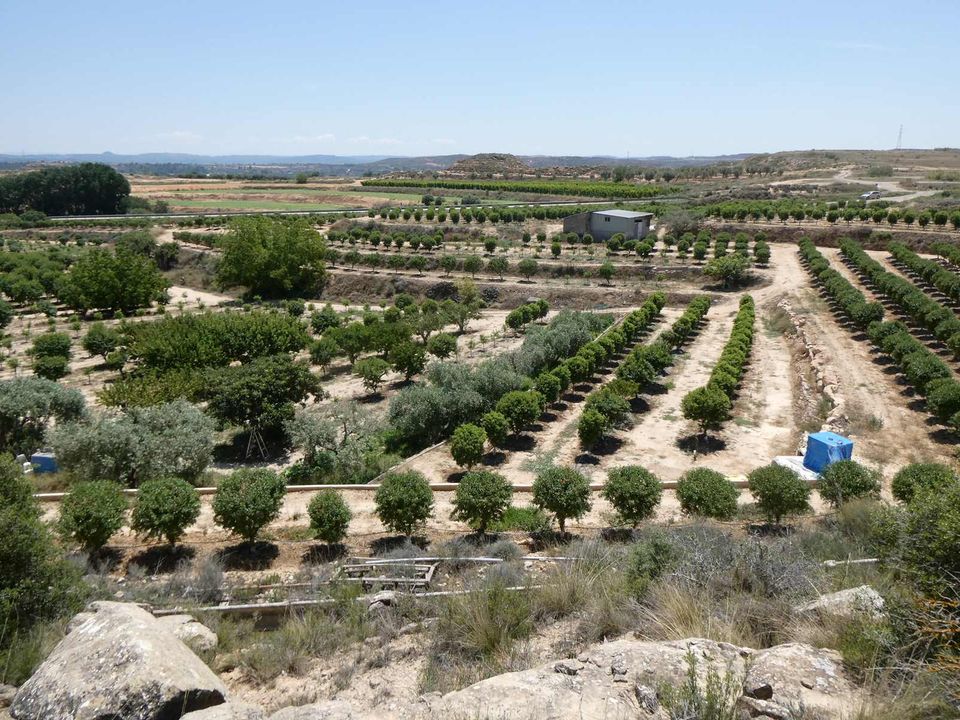 Finca i Caspe, Zaragoza - foto 5
