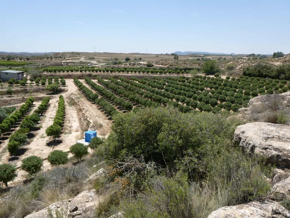Finca i Caspe, Zaragoza - foto 4