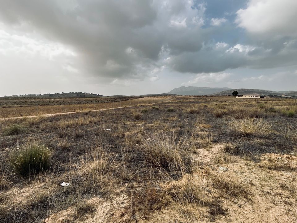 Helårsgrund i Torre Del Rico, Murcia - foto 4