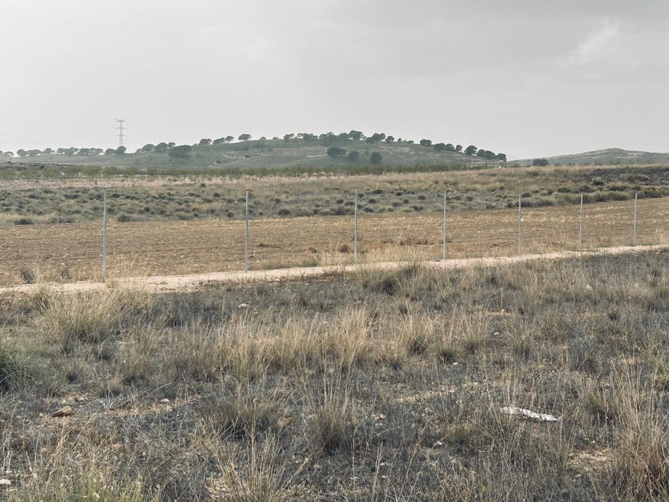 Helårsgrund i Torre Del Rico, Murcia - foto 5