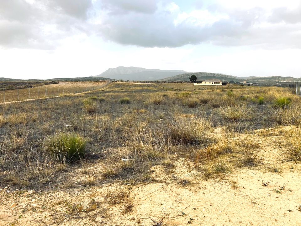 Helårsgrund i Torre Del Rico, Murcia - foto 1