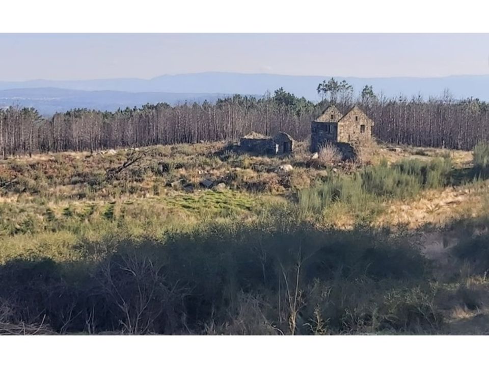 Farm i Viseu, Viseu - foto 1