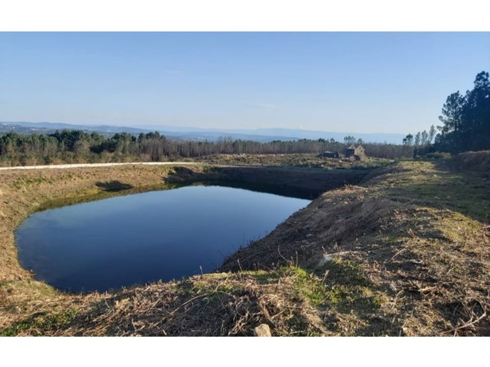 Farm i Viseu, Viseu - foto 2