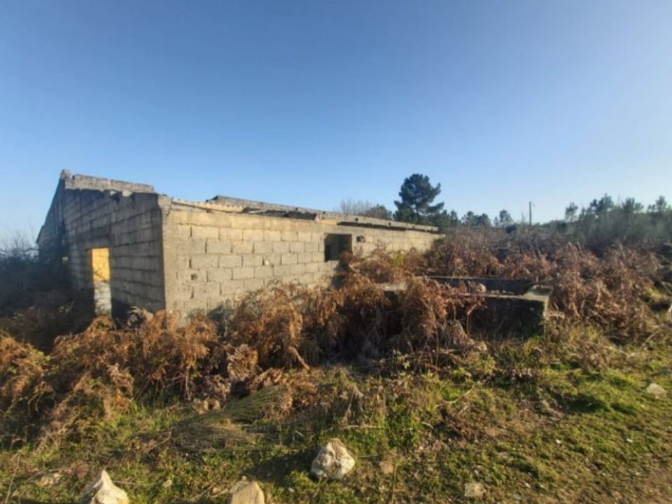 Farm i Viseu, Viseu - foto 3