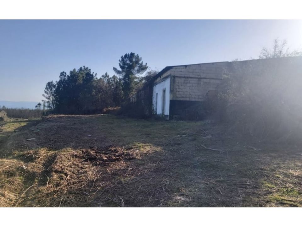 Farm i Viseu, Viseu - foto 4
