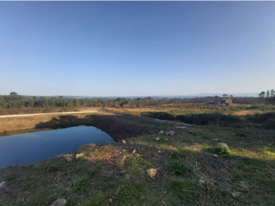 Farm i Viseu, Viseu - foto 5