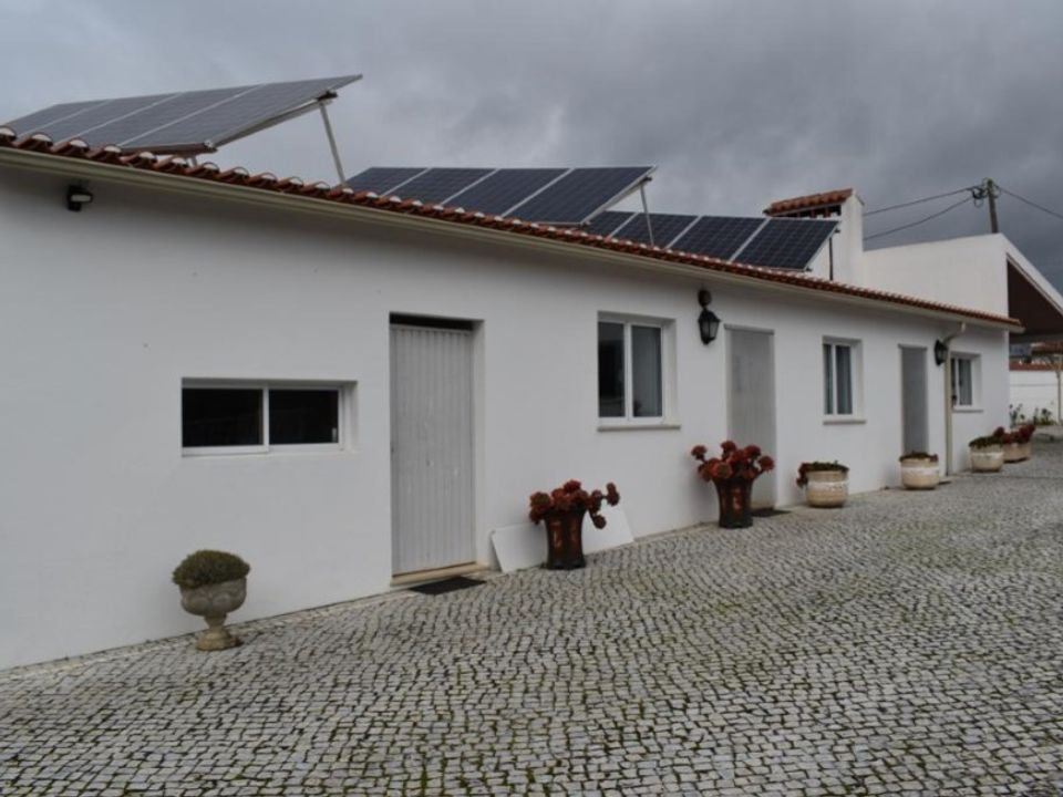 Farm i Abrantes, Santarem - foto 2