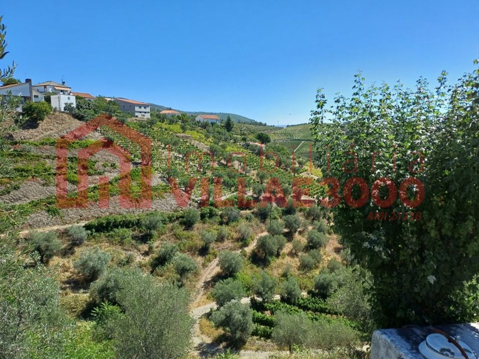Ruïna a Sabrosa, Vila Real - foto 2