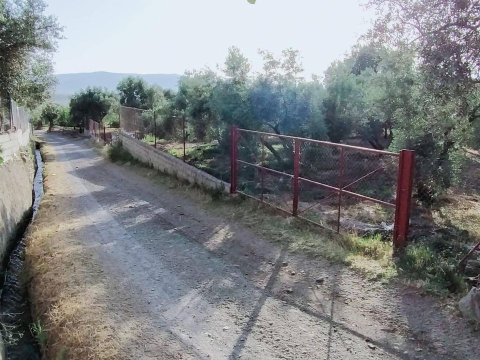 Helårsgrund i Niguelas, Granada - foto 2