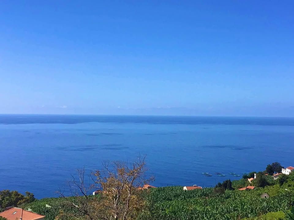 Lejlighed i Calheta, Madeira - foto 2