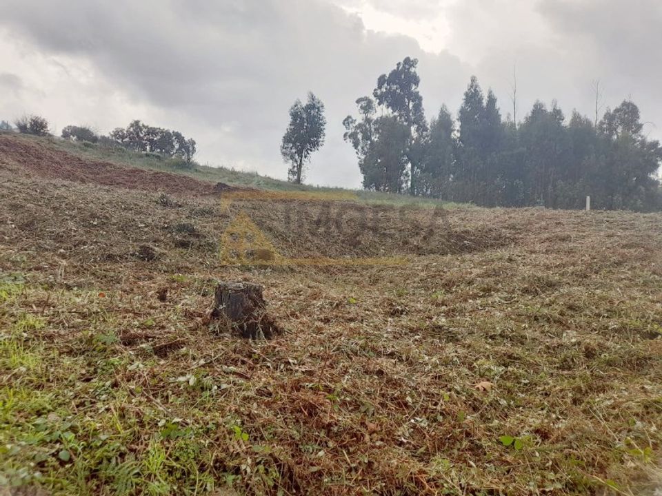 Terreno en Bela, Viana do Castelo - foto 3
