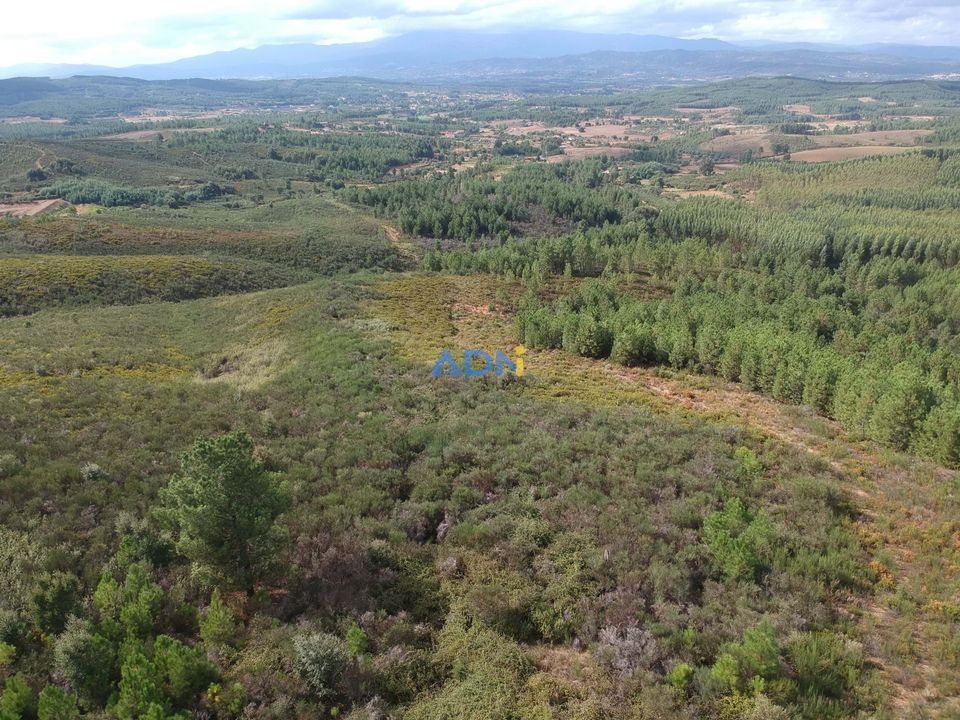 Tomt i Fatela, Castelo Branco - bilde 2