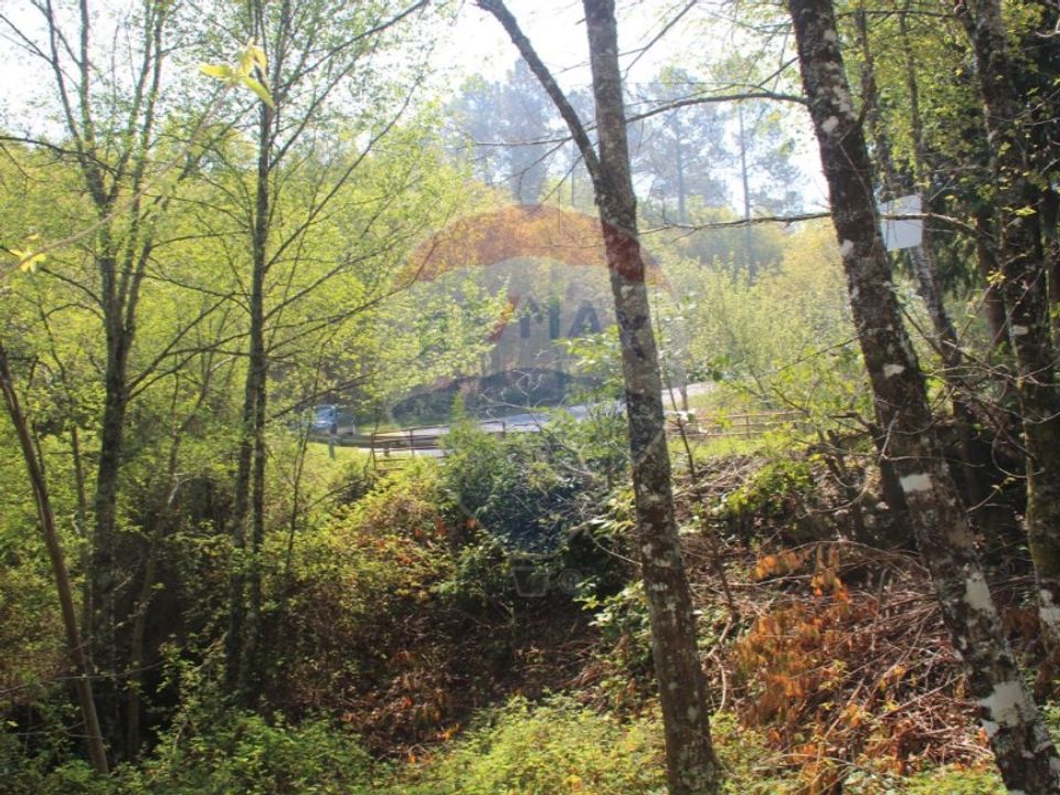 Helårsgrund i Fafe, Braga - foto 5