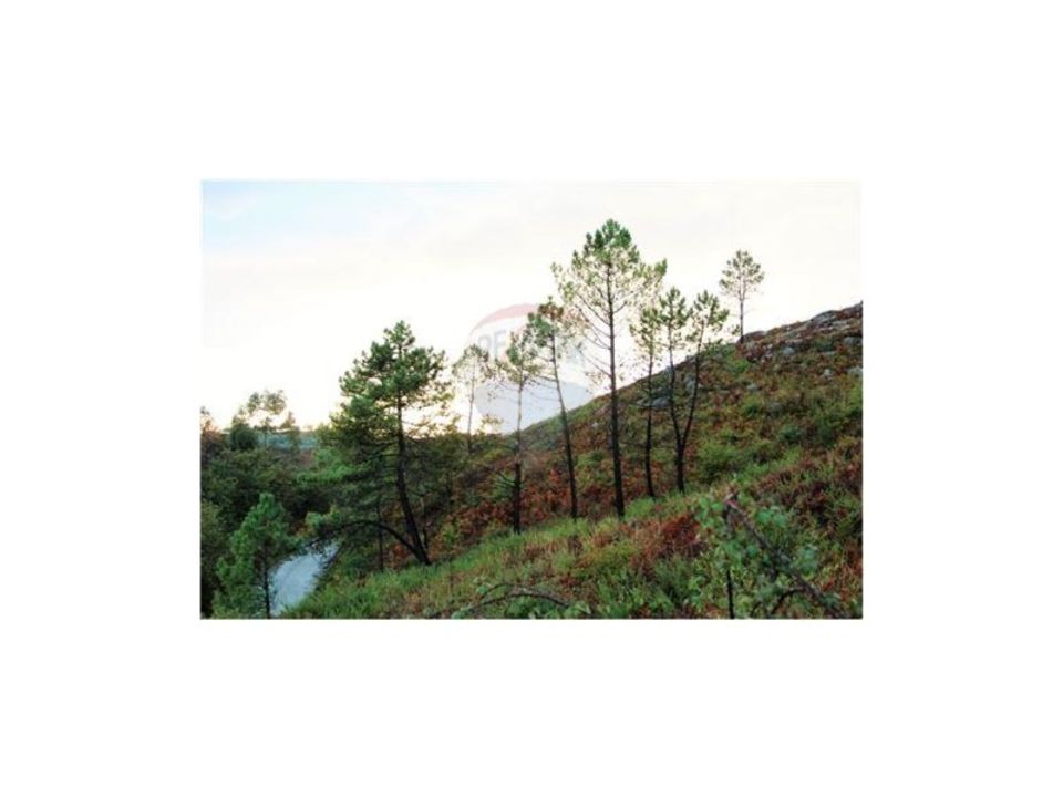 Helårsgrund i Fafe, Braga - foto 1