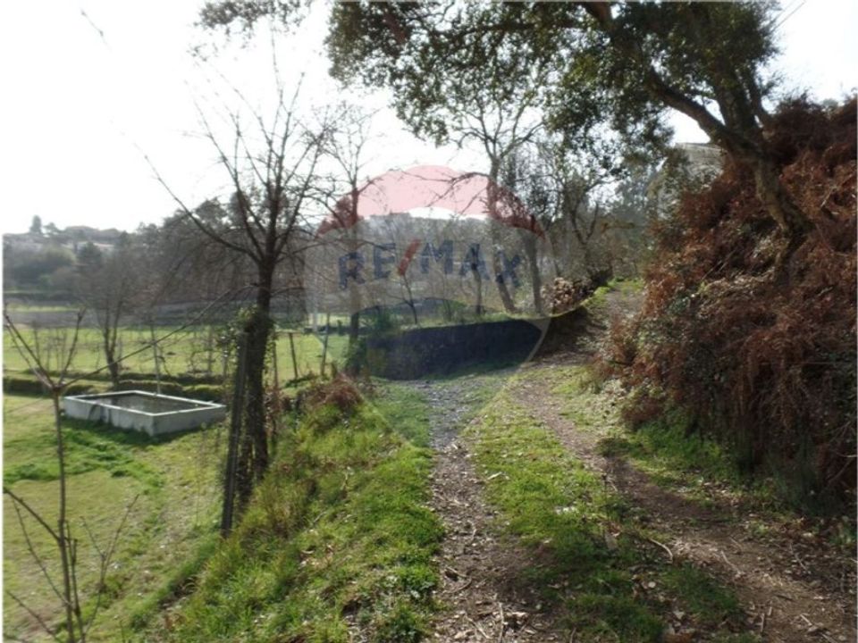 Helårsgrund i Braga, Braga - foto 3