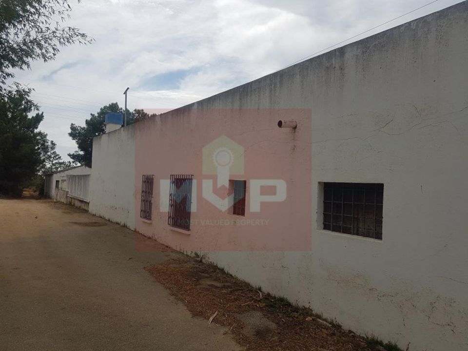Granja a Olhao, Faro - foto 3