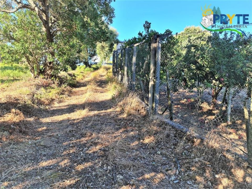 Erhvervsejendom i Cabecudo, Castelo Branco - foto 1