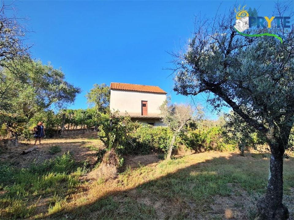 Erhvervsejendom i Cabecudo, Castelo Branco - foto 3