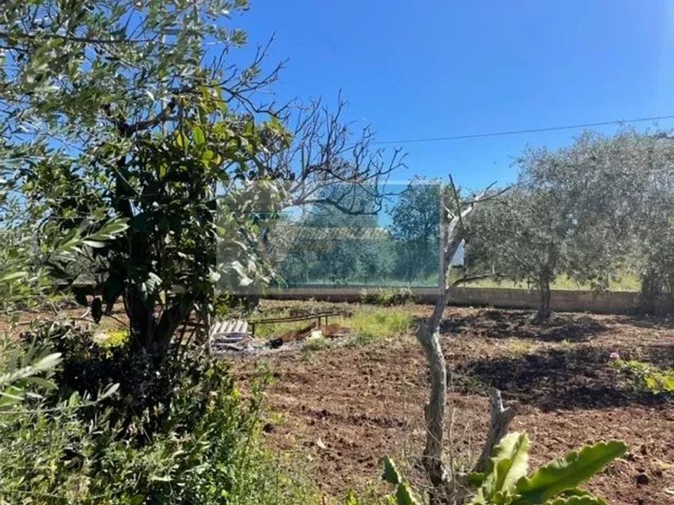 Terra a Melilli, Siracusa - foto 2