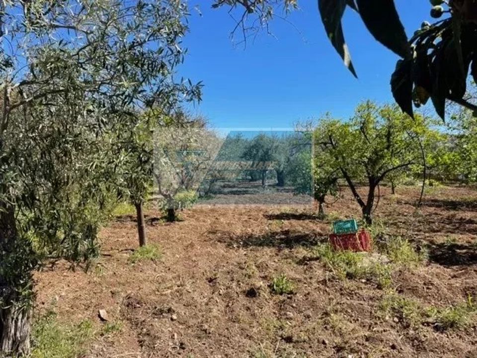 Terra a Melilli, Siracusa - foto 4