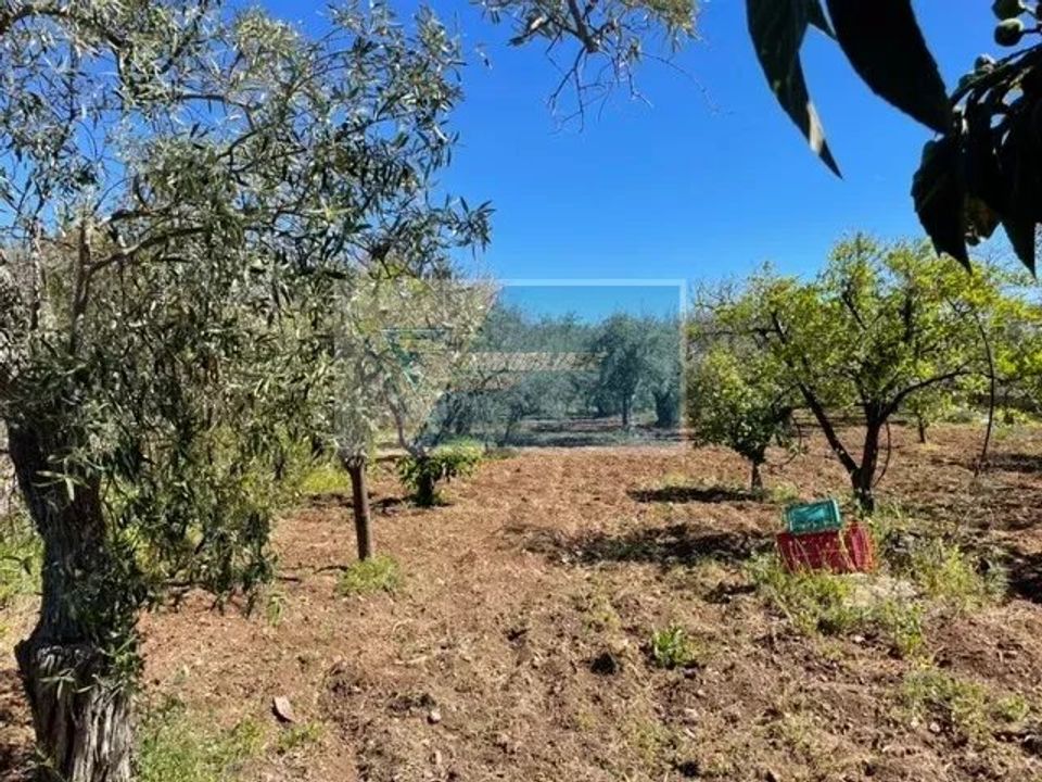 Terra a Melilli, Siracusa - foto 5