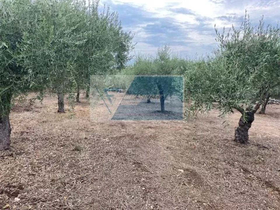 Helårsgrund i Solarino, Siracusa - foto 2