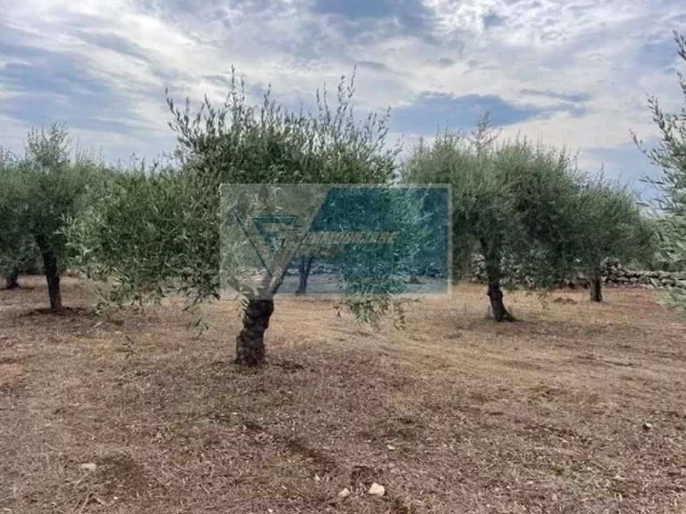 Helårsgrund i Solarino, Siracusa - foto 3