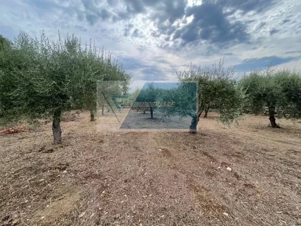 Helårsgrund i Solarino, Siracusa - foto 4
