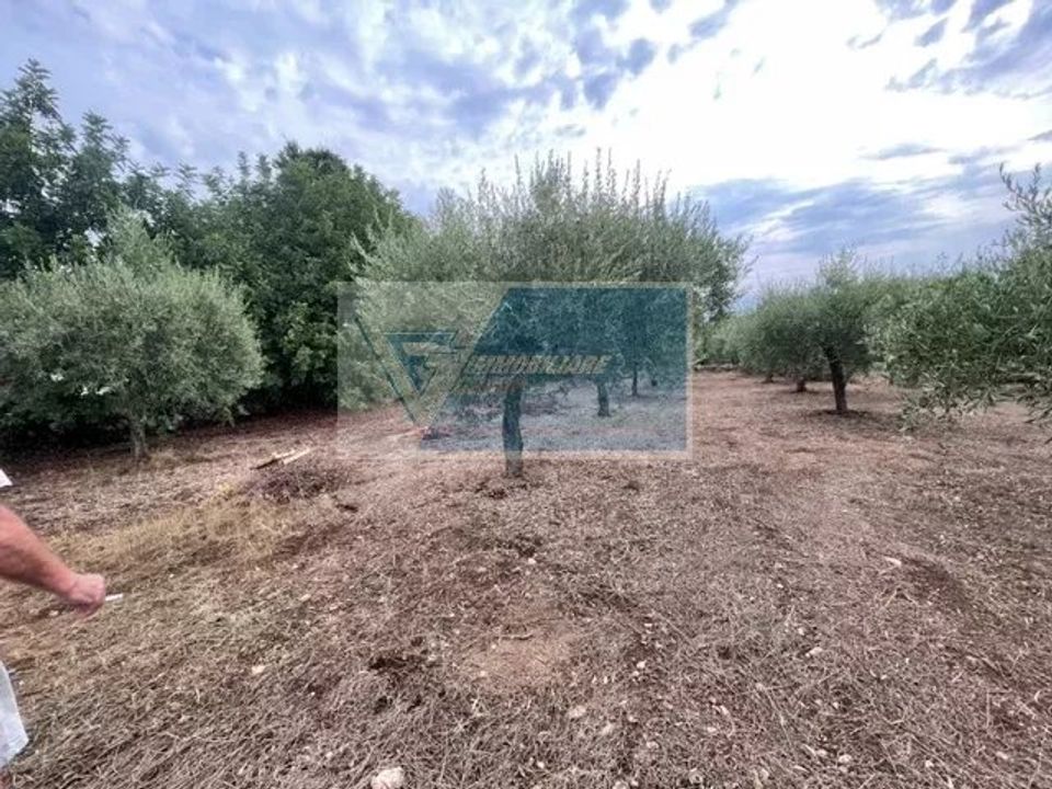 Helårsgrund i Solarino, Siracusa - foto 5