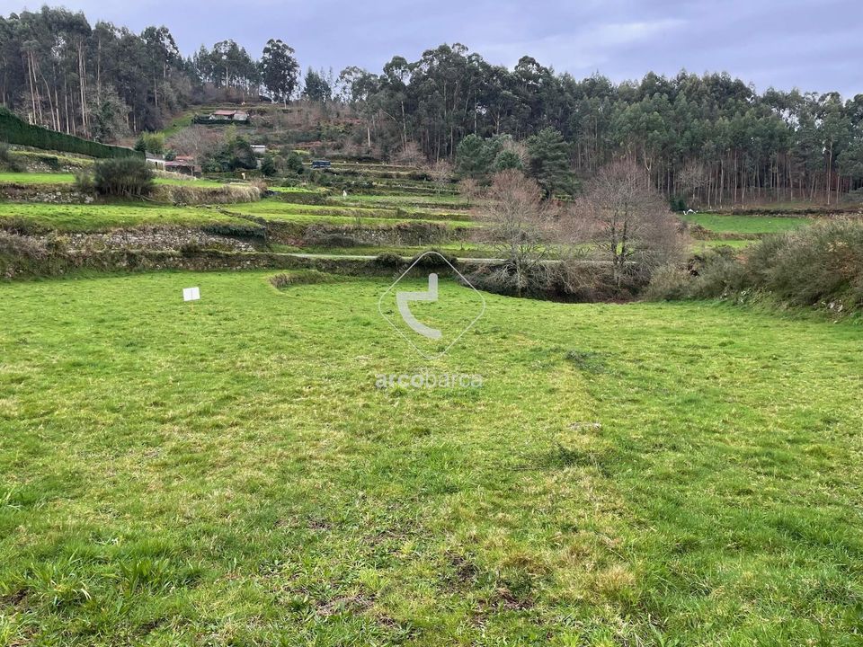 Tomt i Paredes de Coura, Viana do Castelo - bilde 2