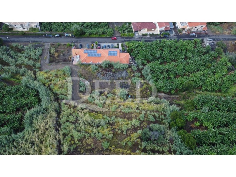 Helårsgrund i Calheta, Madeira - foto 4